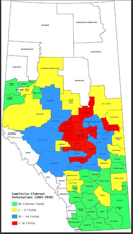 AB Clubroot Map
